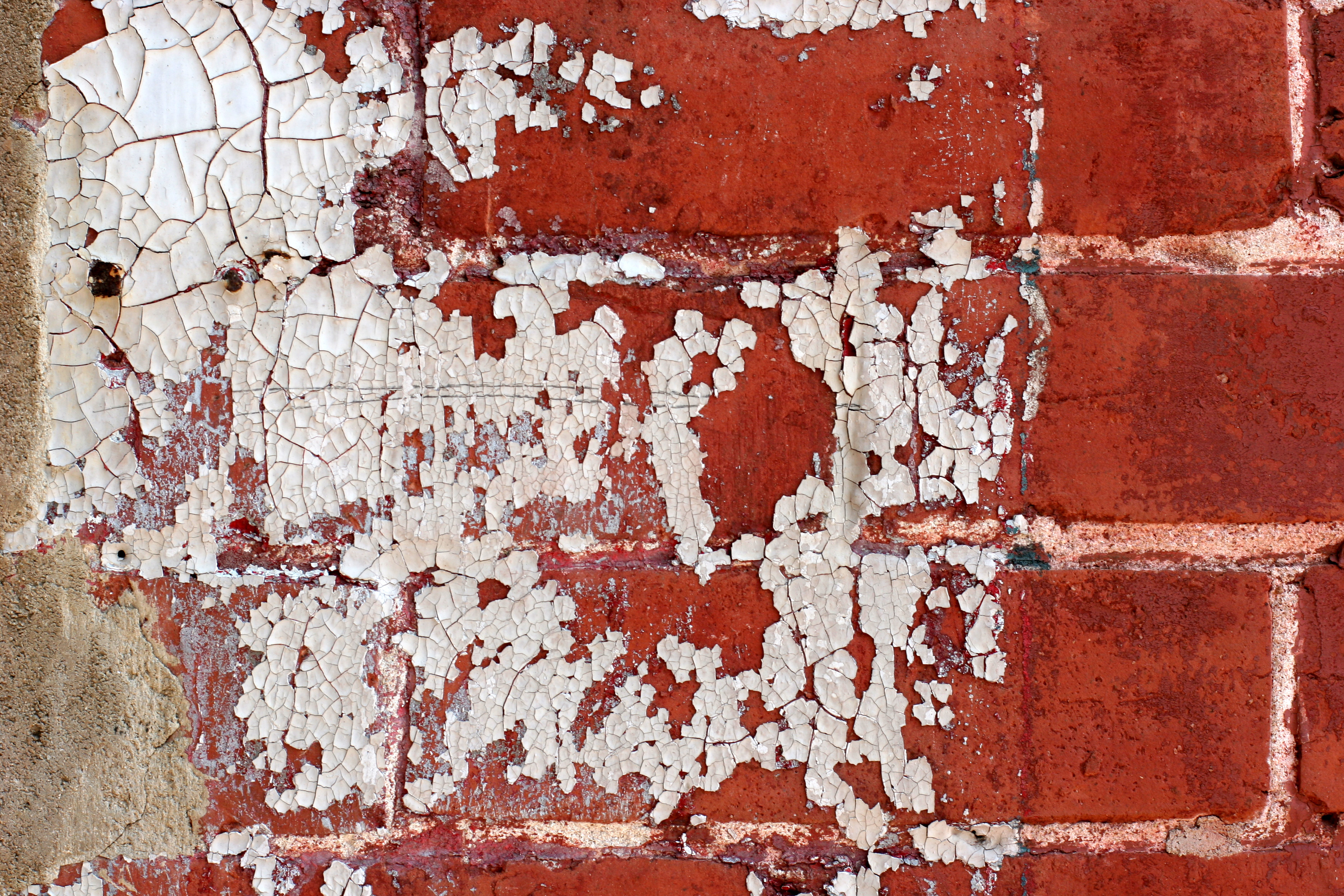 Peeling Paint - 1212369992-8.jpg