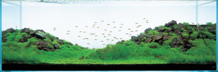 Aranżacje - Takashi Amano Ragwork Pracownia Roślin Wodnych Radosła...ystyczy Aqua Design Amano Akwarium Naturalne Japońskie.jpg