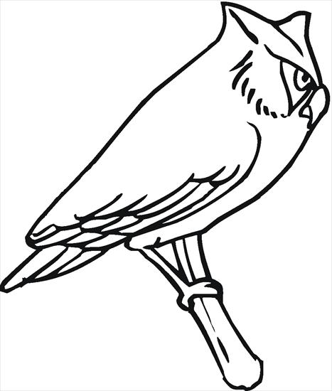 sowa - sowa - kolorowanki ptaki 32.gif