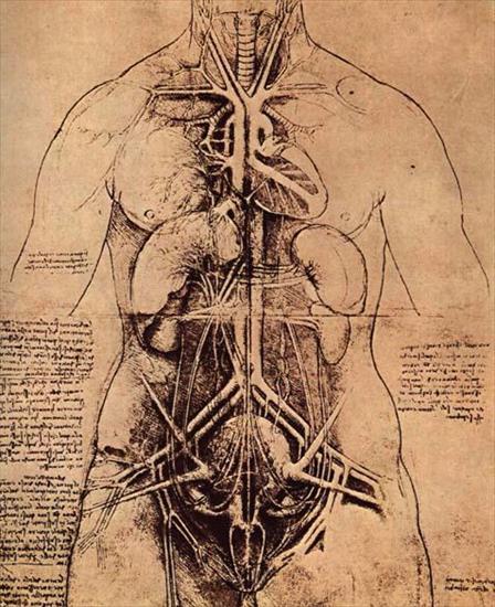 Rysunki Leonarda da Vinci - female.jpg