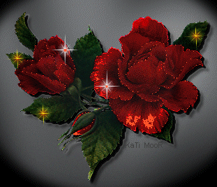 Róże - czerwone_roza.gif