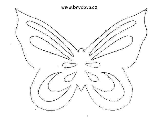 Motyl witraże - sab7.jpg