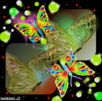 Motyle - 1990695753_1.gif