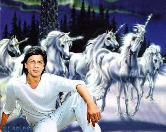 Shah Rukh Khan - SRK 91.jpg