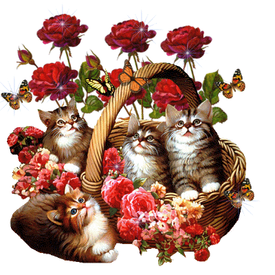 Gify-Kotki - koty kwiaty kosz7590.gif