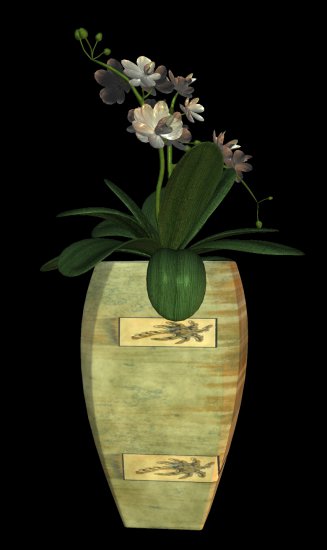 Plants and flowers in pots - R11 - Garden PotPlant 2014 - 188.png