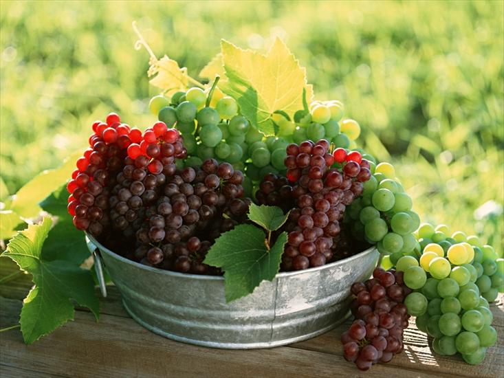 Ciekawe-Owoce - Grapes-3-TWKFUG6UZ7-1024x768.jpg