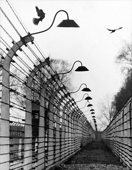 CHRIS_NIEDENTHAL_ - photo_Chris Niedenthal_ Auschwitz- 1970 -gvg.jpg