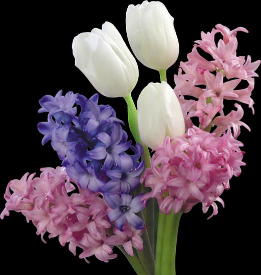 Kwiaty - spring flowers_9.png