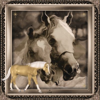 Gify-konie - zwierze konie ramka26722.gif
