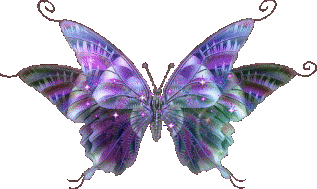 Motyle - mot5.jpg