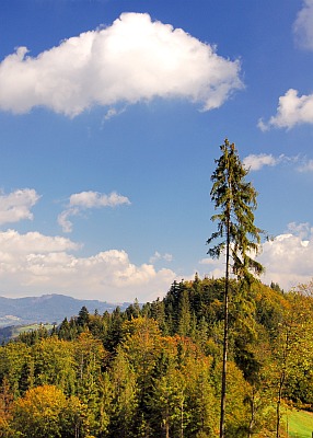 WIDOCZKI - 26_landscape8.jpg