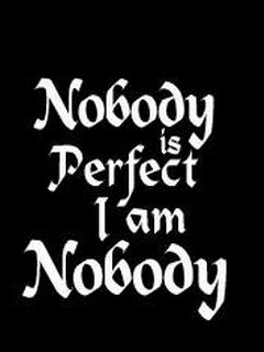 Tapety na KOMURKE - Nobody_Is_Perfect1.jpg