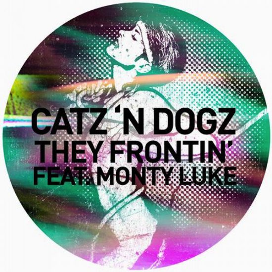 Catz N Dogz Feat. Monty Luke - They Frontin 2012 - cover.jpeg