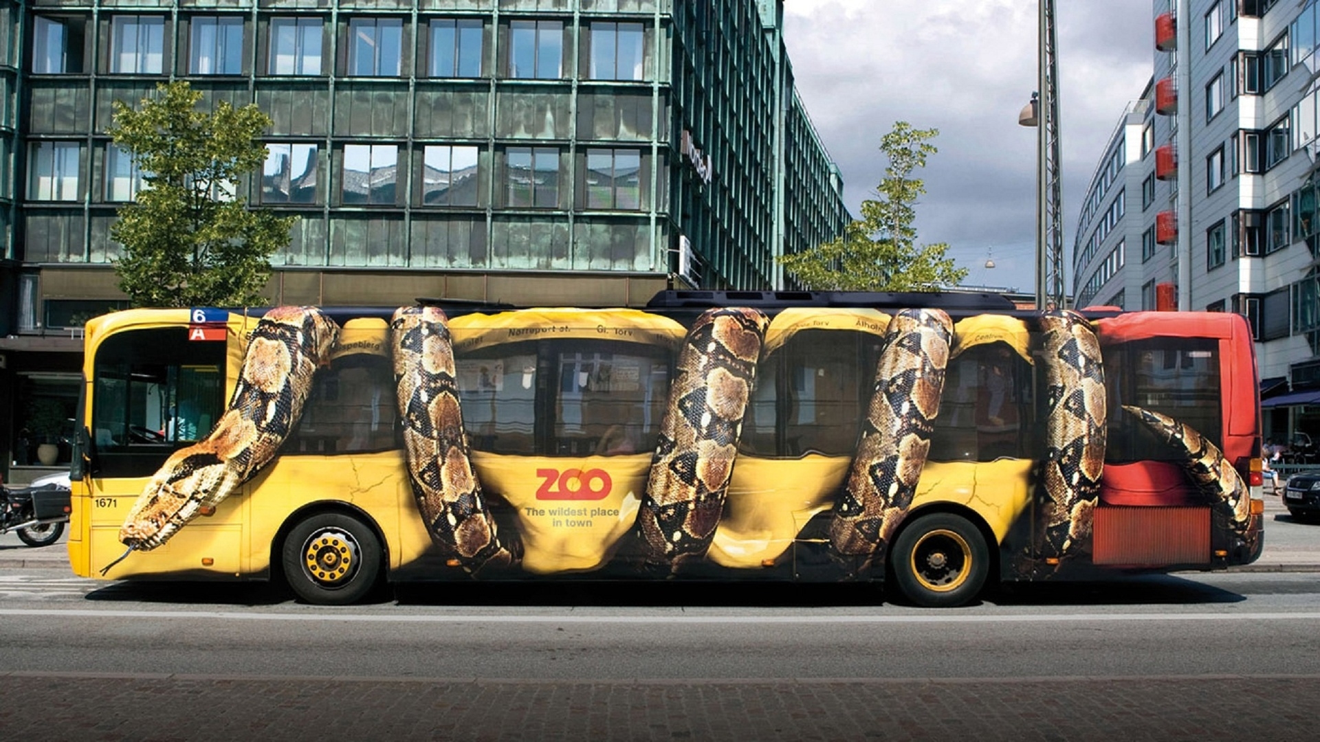 Tapety prop. 1920x1080 - Zoo-Bus.jpg