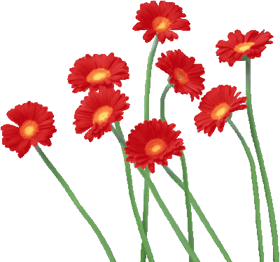kwiaty czerwone - kvetiny_cervene 8.gif