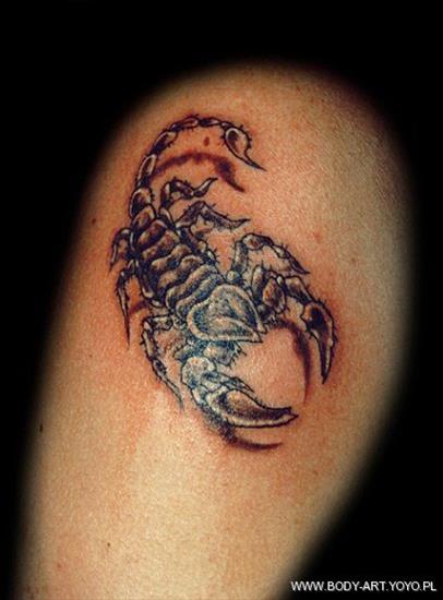 tatuaże - Tatoo 384.JPG