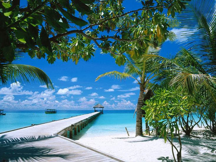 wyspy - Ari Atoll, Maldives1.jpg