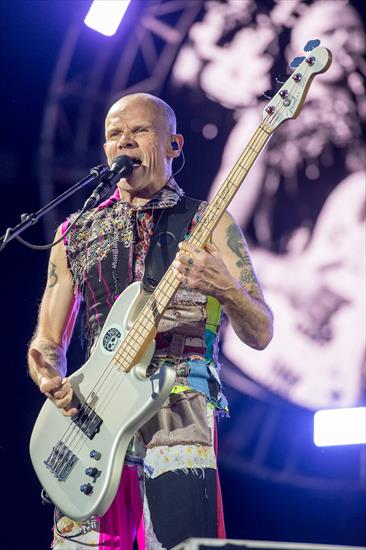 Red Hot Chili Peppers - 2016_RiP_Red_Hot_Chili_Peppers_-_Michael_Flea_Balzary_-_by_2eight_-_DSC0085.jpg