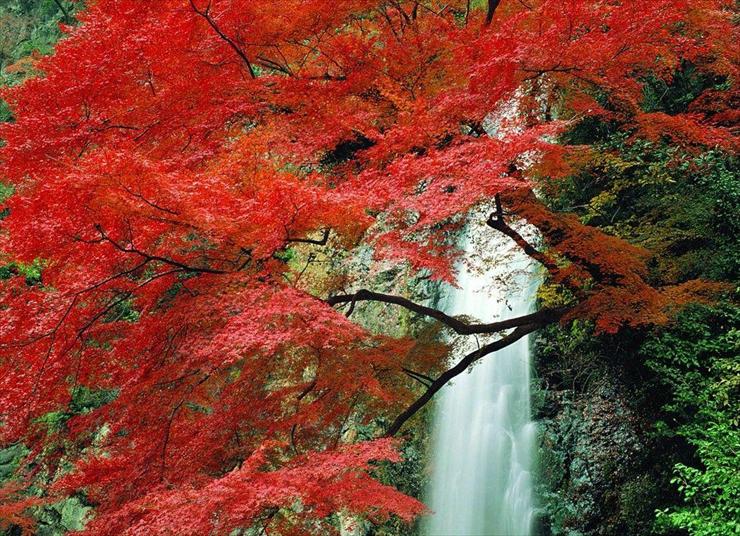 ALBUM NATIONAL GEOGRAPHIC - wodospad czerwony.jpg